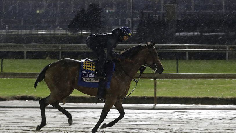 Exercise rider Jose Contreras rides Marley’s Freedom during morning workouts for the Breeders Cup horse races at Churchill Downs in Louisville, Ky. (AP Photo/Darron Cummings)