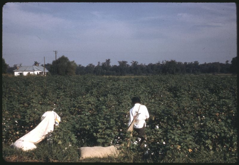 This photo was taken by Alan Lomax, an American field collector of folk music, in 1959 when he documented St. Simons Island’s culture and music. CONTRIBUTED BY ALAN LOMAX COLLECTION AT THE AMERICAN FOLKLIFE CENTER, LIBRARY OF CONGRESS