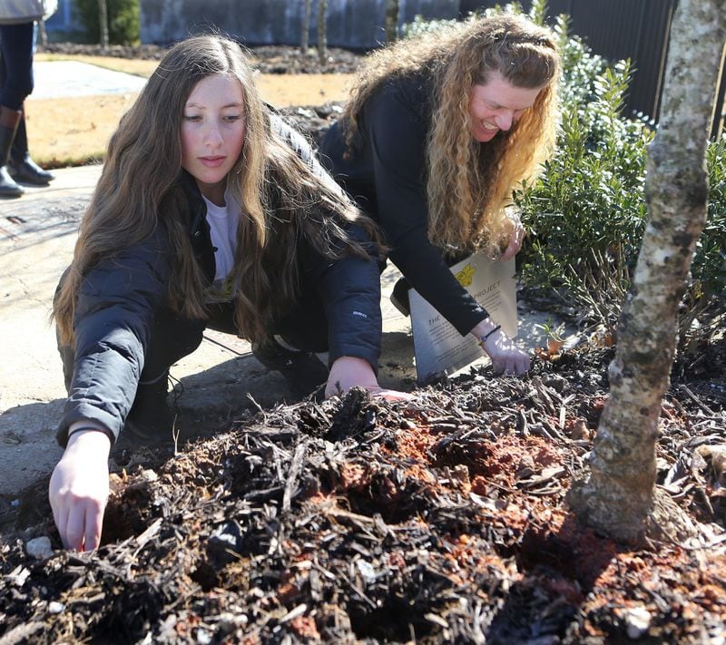 In this file photo, Andrea Videlefsky and her daughter, Karin, help plant 2,000 daffodil bulbs in memory of children killed in the Holocaust, as part of the Downtown Daffodil Project at the National Center for Civil and Human Rights. CURTIS COMPTON / CCOMPTON@AJC.COM