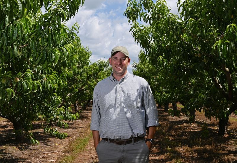 Fifth-generation peach farmer Lawton Pearson poses as he is surrounded by peach trees at Pearson Farm, Wednesday, May 1, 2024, in Fort Valley. After Georgia peach growers lost nearly their entire crop in 2023, favorable winter and spring conditions have led to a full crop of Georgia's trademark fruit. (Hyosub Shin / AJC)
