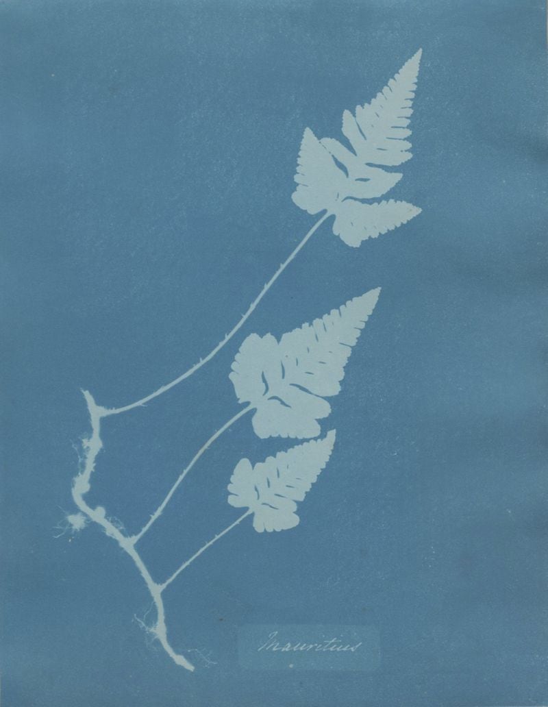 Anna Atkins, a 19th-century botanist and photographer is credited with making the first book with photographs.