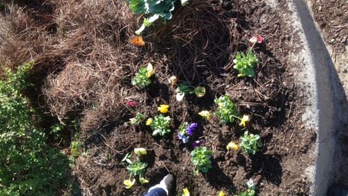 The Hapeville Clean and Beautiful Commission maintains nine flower beds in the city. Courtesy Jeanne Rast.