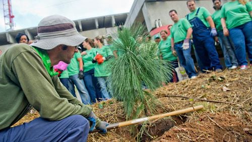 In this file photo from 2014, Brian Williams (left) demonstrates the correct way to plant a tree during an event to plant trees along the Atlanta Beltline. In 2017, Trees Atlanta will host several large Day of Service events on MLK Day. JONATHAN PHILLIPS / SPECIAL