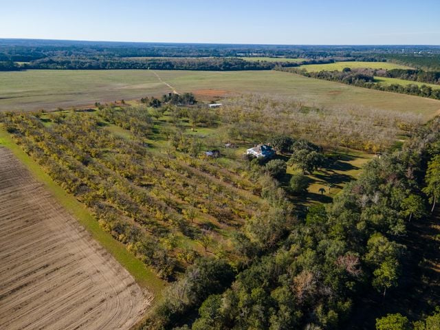 Grow bananas, pecans and more on your own personal Georgia estate for $2 million