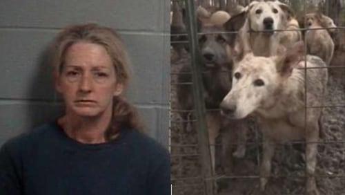 Belinda Powell faces animal cruelty charges after around 450 German shepherds were found neglected and living in filthy conditions in Middle Georgia.