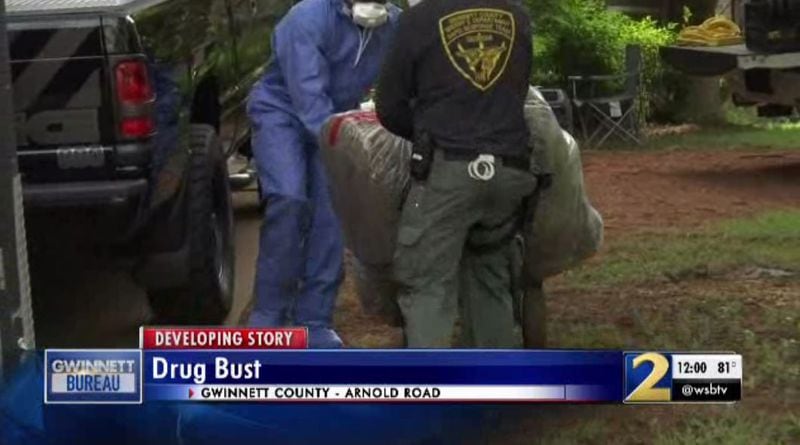 About 210 plants were found at a home on Arnold Road, officials said. (Credit: Channel 2 Action News)