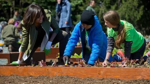 First lady Michelle Obama, left, with students from across the country, plant vegetables during the eight annual White House Kitchen Garden planting on the South Lawn of the White House in Washington, Tuesday, April 5, 2016. Obama will visit Burke County Middle School near Augusta on Thursday to help students there plant the school garden. (AP Photo/Pablo Martinez Monsivais)