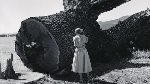 "Dorothea Lange Photographing the Destruction of a California Landmark, from Death of a Valley," (1956) by Pirkle Jones.
(Courtesy of Regents of the University of California / Booth Western Art Museum)
