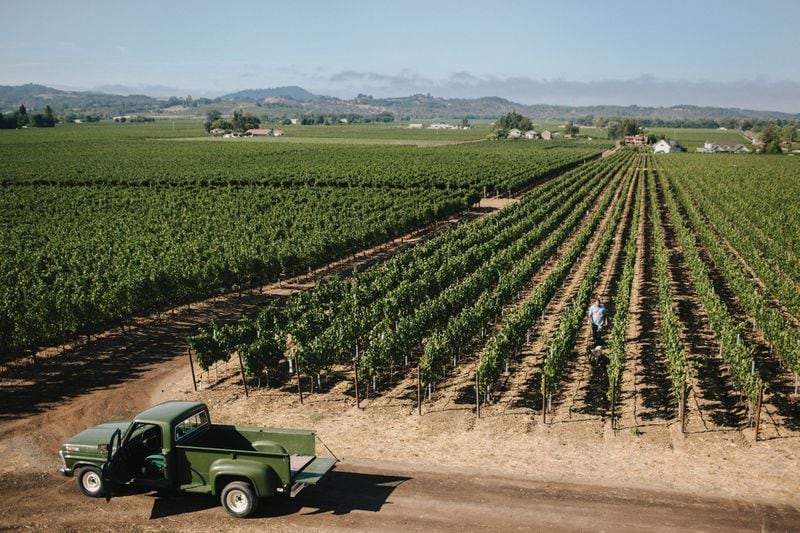 Northern California grape grower Tom Gore and his employees — 30 full-timers and 100 seasonal workers — tend approximately 1,500 acres scattered around Sonoma and Mendocino counties. (Photo credit: Tom Gore Vineyards)
