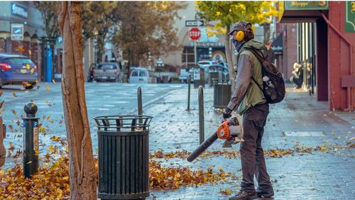 A measure pending in the Georgia General Assembly, House Bill 1301, would limit regulations for noisy leaf blowers.
