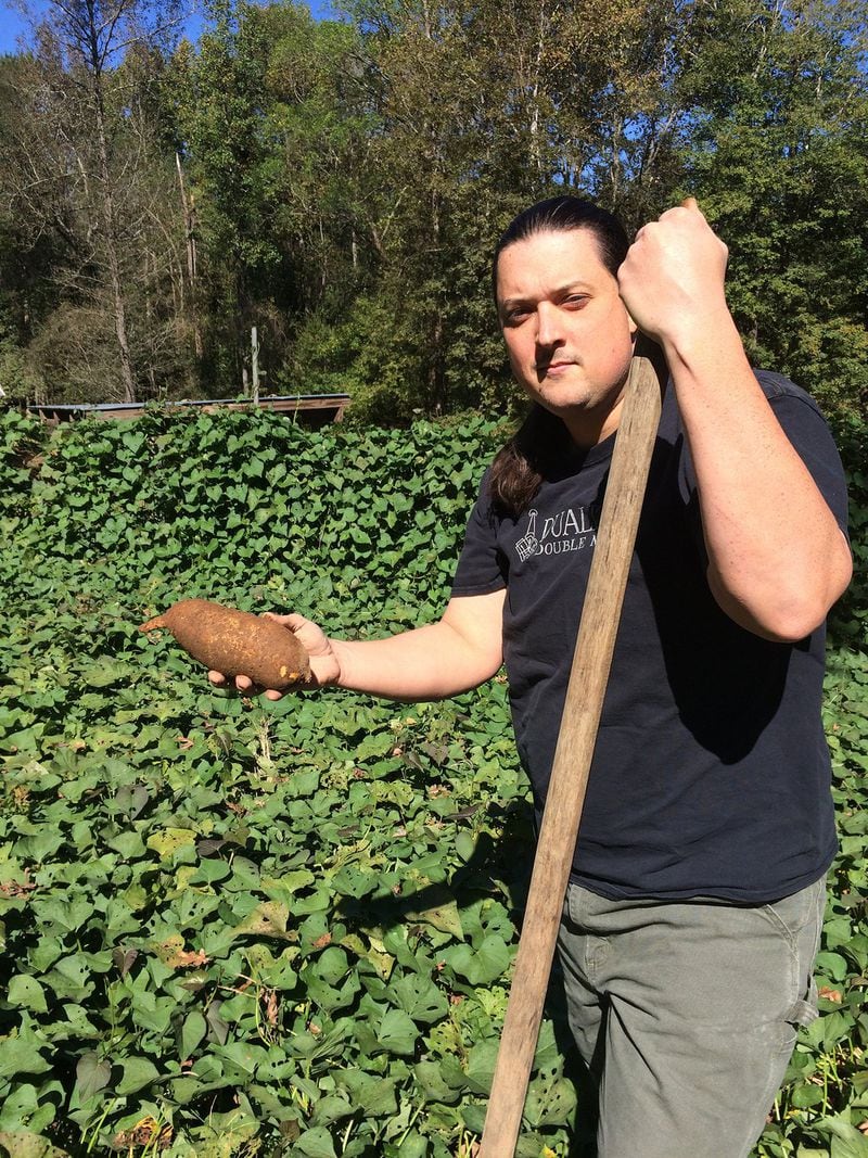 Justin Manglitz digs sweet potatoes at his Franklin County garden. (PHOTO CONTRIBUTED BY WENDELL BROCK)