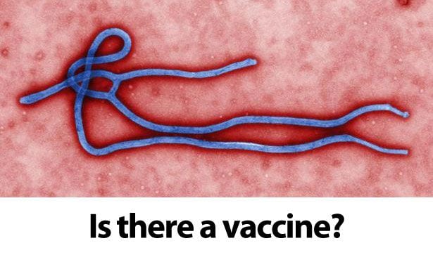 Ebola virus Q & A