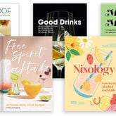 If you're looking to make drinks at home with little or no alcohol, these five books offer foolproof ideas.