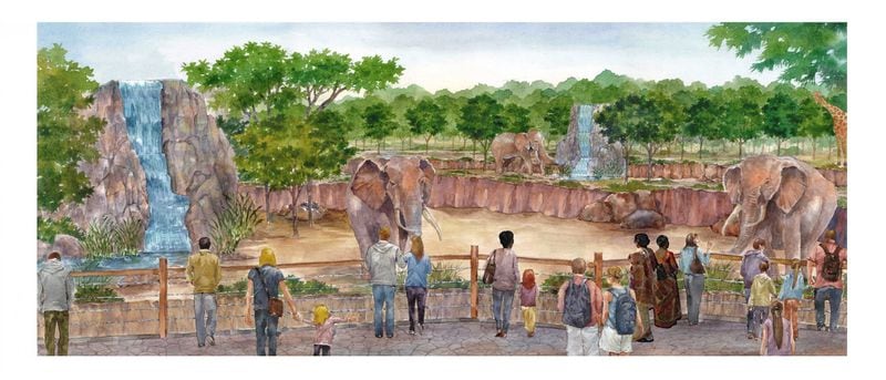 Events at Savanna Hall will feature unobstructed views of the African Savanna exhibit. Diners will be able to enjoy a meal while watching the wildlife wander below. CONTRIBUTED BY ZOO ATLANTA