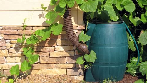 Adding a rain barrel to your home’s exterior can be good for your plants, the planet and your wallet. (Dreamstime)