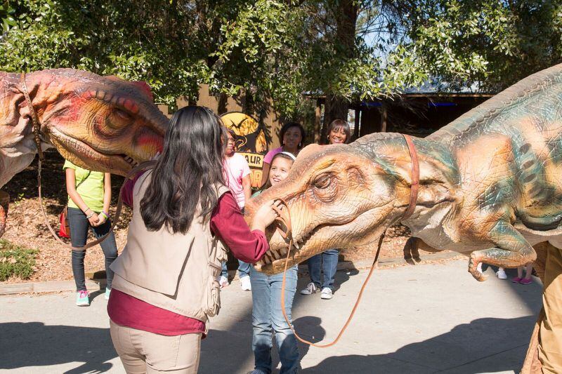 Dinosaur Explore is coming to Stone Mountain Park. The dinosaurs are being moved from sister property Wild Adventures park in Valdosta which is owned and operated by Herschend Family Entertainment property. Herschend Family Entertainment property manages Stone Mountain Park. 
CONTRIBUTED