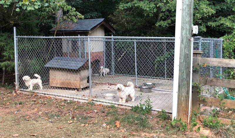 The address of the puppy mill was not provided.