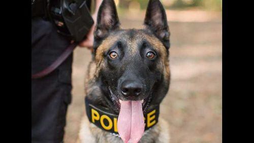 Three Johns Creek K-9 officers (yes, the dogs) have launched Instagram pages. Photos and videos give an inside look into what the pups are up to, on and off the job in north Fulton County.