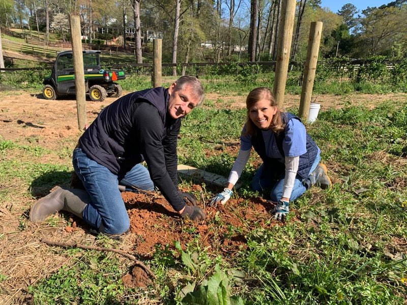 Expanding the vineyard shown planting one of the four varietals, Blanc de Bois, are David Borgel with owner Pamela Jackson.
