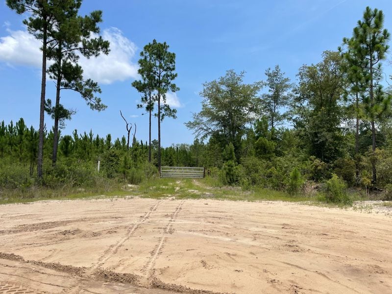 A part of the Bryan County mega-site recently purchased by the state of Georgia to attract major economic development deals.