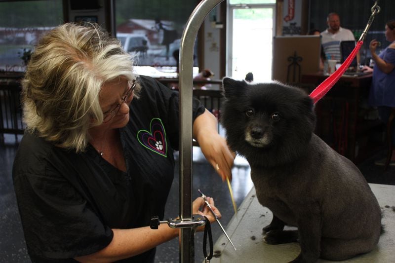 Tonya Akin, owner of Dog Gone Cute Grooming, works on a client’s dog. Akin said she has seen her business grow over the past decade as new people move to the city, but she stays out of local politics. (Chris Joyner / Chris.Joyner@ajc.com)