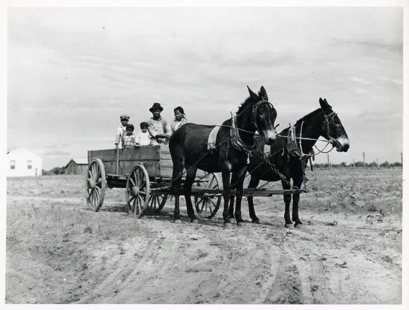 Ben Turner and family in their wagon with mule team at Flint River Farms in May 1939. 
Courtesy of Marion P. Wolcott / New York Public Library Digital Collections