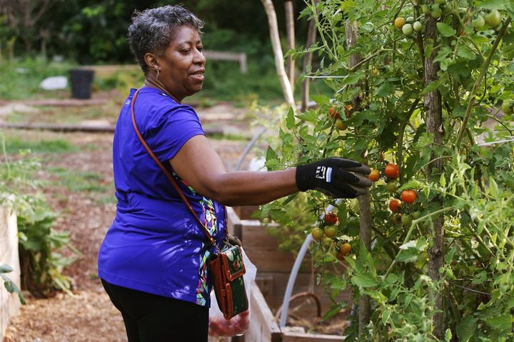 Photos: A look inside Georgia's first food forest