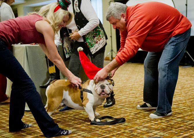 Georgia English Bulldog Rescue's Santa Paws party