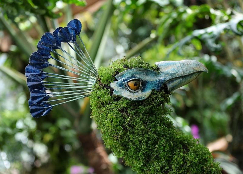 A high level of detail goes into the peacock sculpture in the Fuqua Conservatory & Orchid Center. CURTIS COMPTON/CCOMPTON@AJC.COM