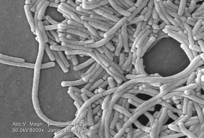 How Legionella spreads