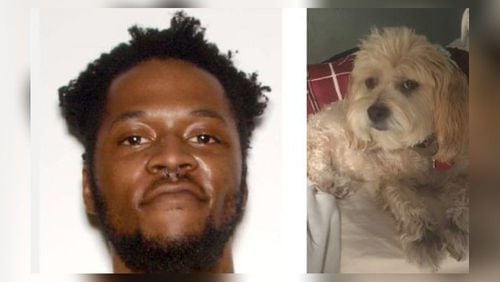 Marquez Angelo Young (left) is wanted and accused of stealing Daisy, a 10-year-old Morgi, from a Dunwoody home.