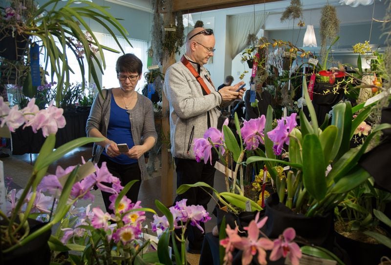 Ellen Gamnes (L) and Bernt Nilsen take photographs of orchids during the Atlanta Orchid Society Show at the Atlanta Botanical Garden In Atlanta GA March 10, 2018. STEVE SCHAEFER / SPECIAL TO THE AJC
