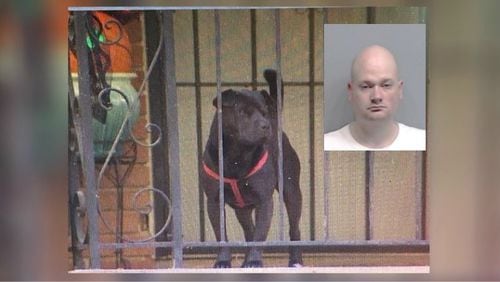 After a man shot in the air to stop a dog attack, the dog's owner, Roderick Stewart, allegedly shot him.