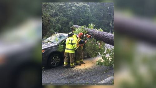 Union City firefighters rescued a driver who went through road barricades and ended up stuck under a tree. (Credit: Channel 2 Action News)