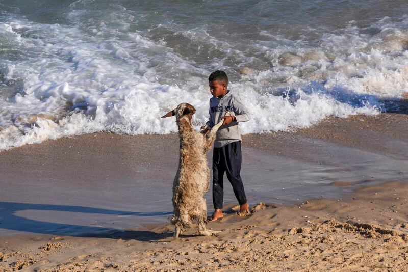 Palestinians wash their flock in the Mediterranean Sea at the beach in Deir al Balah, Gaza Strip, on Wednesday, May 7, 2024. (AP Photo/Abdel Kareem Hana)