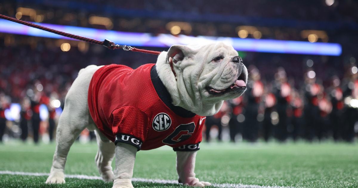 Uga, la querida mascota Bulldog de Georgia, también se perderá el juego de campeonato universitario.