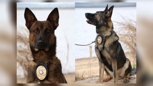 K-9s Lord (left) and Oso