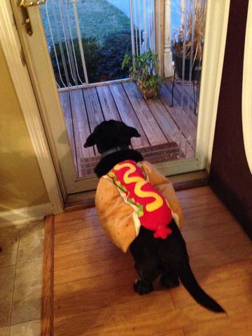 Sanford waiting to greet the trick or treaters