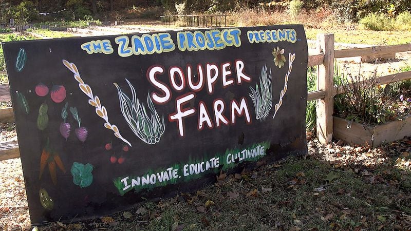 Educational programming at the Souper Jenny Farm focuses on teaching the importance of eating fresh foods. RYON HORNE / RHORNE@AJC.COM