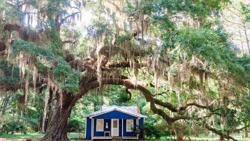 A tree draped in Spanish moss frames a traditional Gullah home on Daufuskie Island. Contributed by Hilton Head Tourism