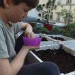 Parenting tips for helping children to develop a love of gardening