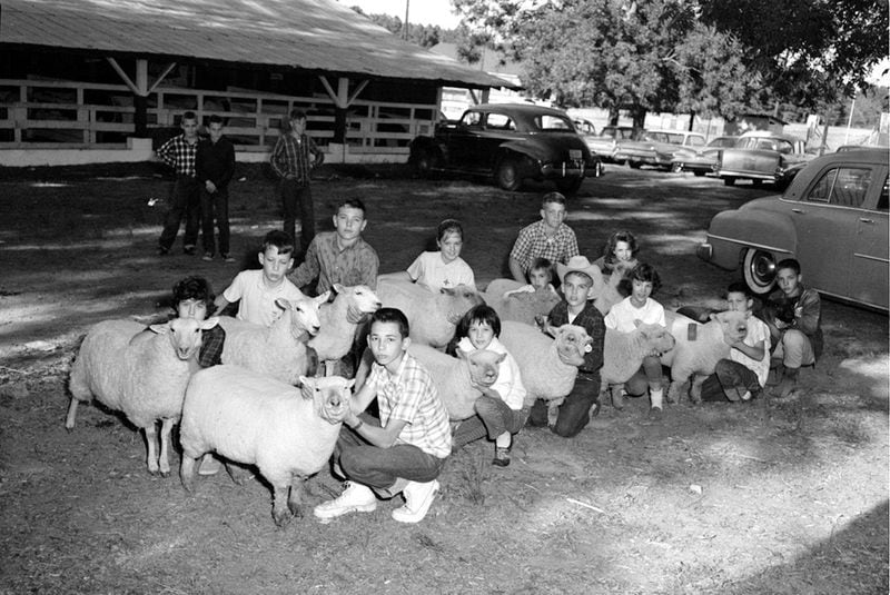 Athens children who were members of Future Farmers of America pose with their livestock at the 1961 Athens Agricultural Fair. (Courtesy of Johnny H. Kesler)