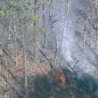 A large brush fire was reported Monday outside Stone Mountain Park, officials said.