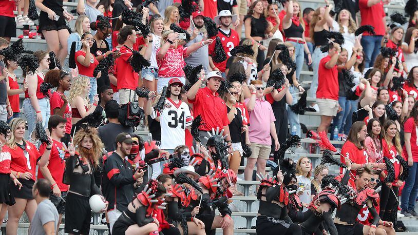 Georgia fans are decked out in red and black as they cheer on the Red Team against the Black Team during the G-Day game in April 2021 at Sanford Stadium. (Curtis Compton / Curtis.Compton@ajc.com)
