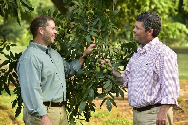  Rob (left) and Eric Cohen in their family's pecan orchard. (Photo credit: Todd Stone Photography)