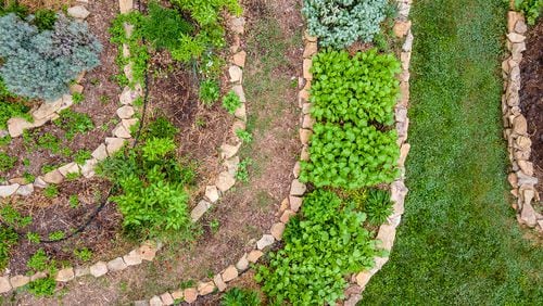 Author Kelly Smith Trimble used a sloped backyard to her advantage in creating this terraced vegetable garden edged with stones sourced from the Tennessee landscape, to create a biophilic design.
(Courtesy of Derek Trimble)