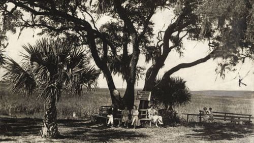 Original caption: "A famous landmark At Brunswick: Beneath this spreading tree, now known as 'Lanier's Oak,' Sidney Lanier, beloved poet of the South, received his inspiration for the immortal poem, 'The Marshes of Glynn.'" WALTER FRANK WINN / AJC PHOTO ARCHIVES