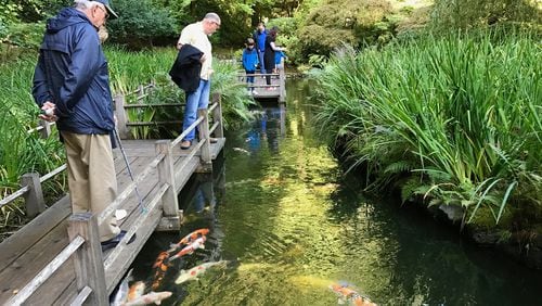 A zigzag bridge traverses a koi pond at the Portland Japanese Garden in Washington Park. (Jackie Burrell/Bay Area News Group/TNS)