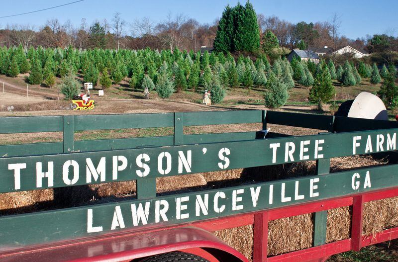 File photo: A barn truck displays the Thompson’s Tree Farm sign at the Thompson’s Tree Farm in Lawrenceville, GA, Alexander Acosta/ AJC Special