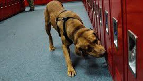 Dogs trained to detect drugs, alcohol and firearms will be used to periodically search middle and high schools in Fayette County this fall. Courtesy Interquest Detection Canines